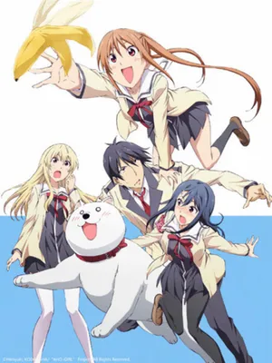 Cô nàng ngốc - aho girl